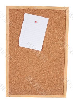 Pin board