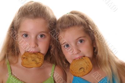 twin cookie monsters
