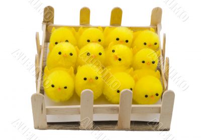 Easter Chickens