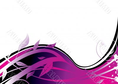purple flower