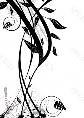 floral black modern