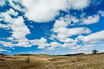 Field and Clouds