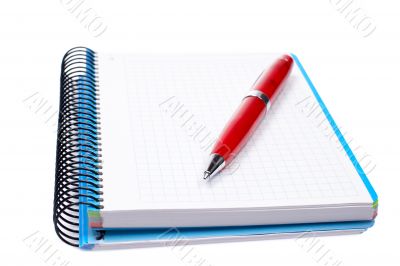 Blank notebook sheet with pen