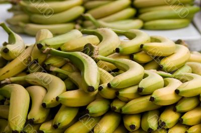 Bananas