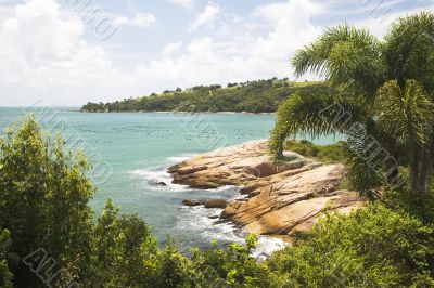tropical coastline