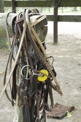 leather for the horses