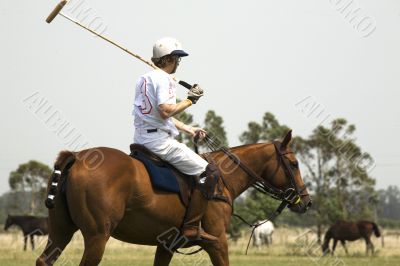 playing polo