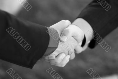 Business Handshake