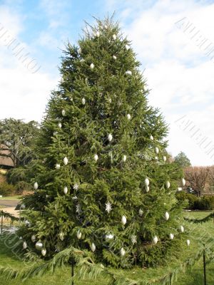 Christmas tree