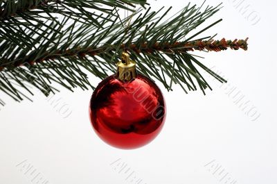 Christmas decoration on the tree