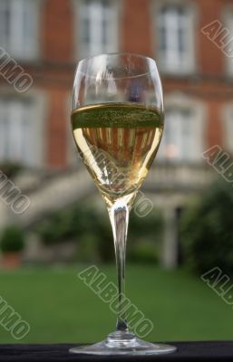 Glass of champaign