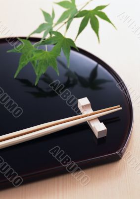 chopsticks for food