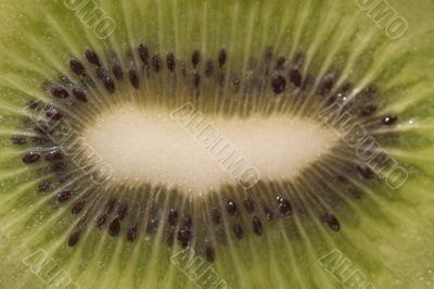 Kiwi as a background