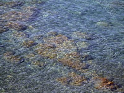 Sea texture