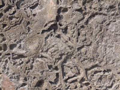 Wall texture
