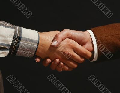 business handshake