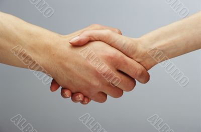 business handshake