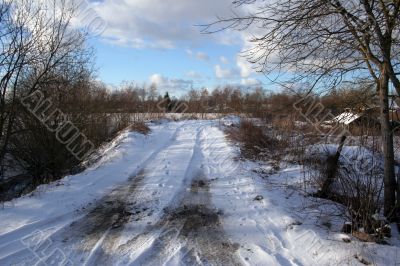 Trees and fields along rural road in the winter