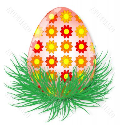An egg