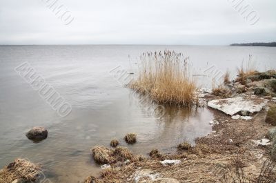 Sea shore