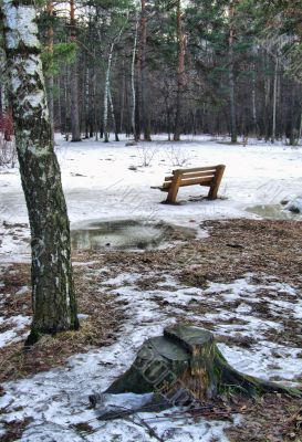Stump and the bench