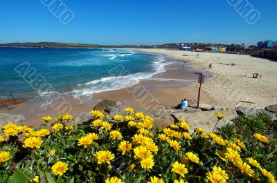 beach and flowers