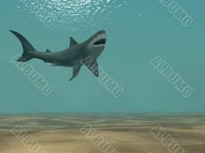 The 3d shark, floating at ocean