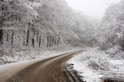 Winter