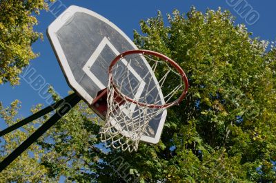 Basketball