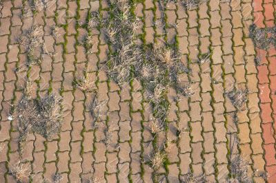 Pavement