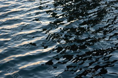 Water