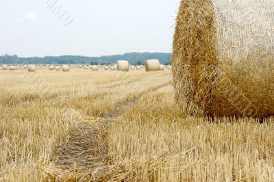 Haybails