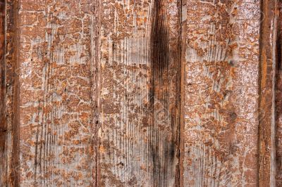 Wood