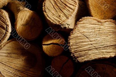 Logs