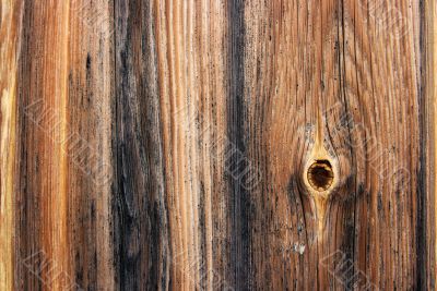 Wood