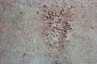 Texture