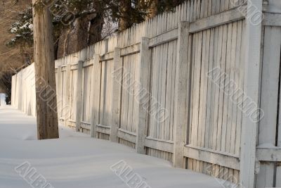 Winter Fence