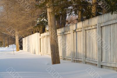Winter Fence