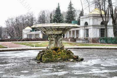 Fountain  Cup