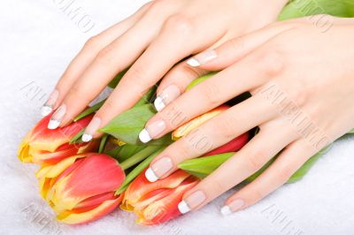 Manicure and tulips