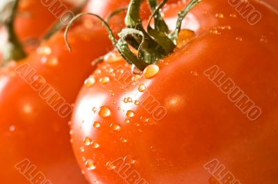 wet red