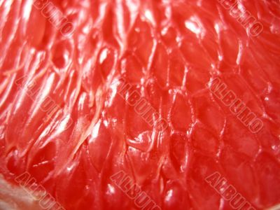 Grapefruit close-up