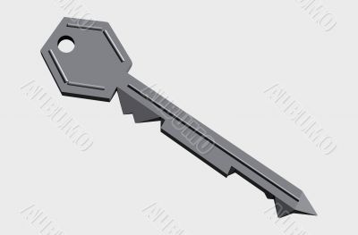 gray key