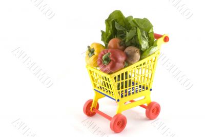 daily food