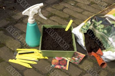 sowing seeds
