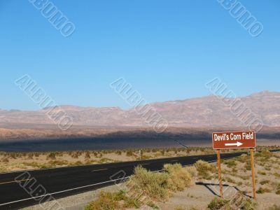 Devil`s Corn Field