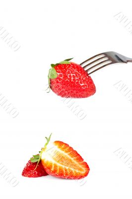 The fork pricking the strawberry