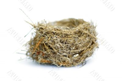 Nest on white