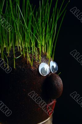 grass on the head