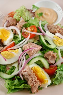 Tuna And Egg Salad 2